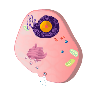 细胞生物学试剂